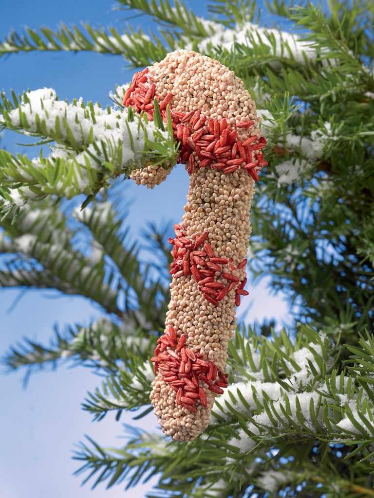 holiday candy cane birdseed