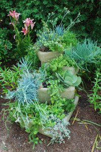 Succulents stacked in troughs or pots can create a desert type feel in the landscape