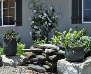 Rain flows from roof, through drain pipes into a dry creek bed that captures the water for the garden.