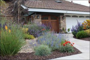 Roger’s Garden in Newport Beach called out this home for its California native landscape.