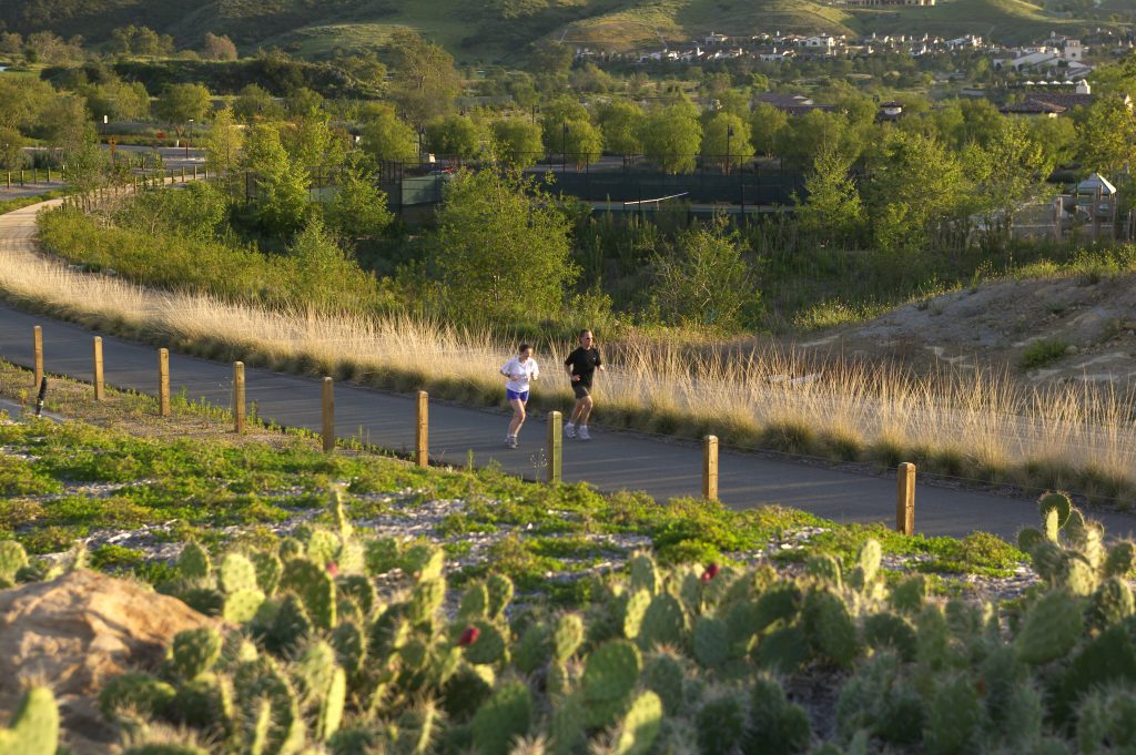 A thousand acres of native plants were an integral part of the urban design for Shady Canyon’s community.