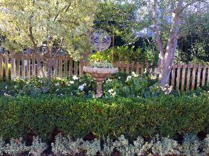 A picket fence framed by graceful tree branches adds artistry to Missy Ann Schweiger brings to her gardens.